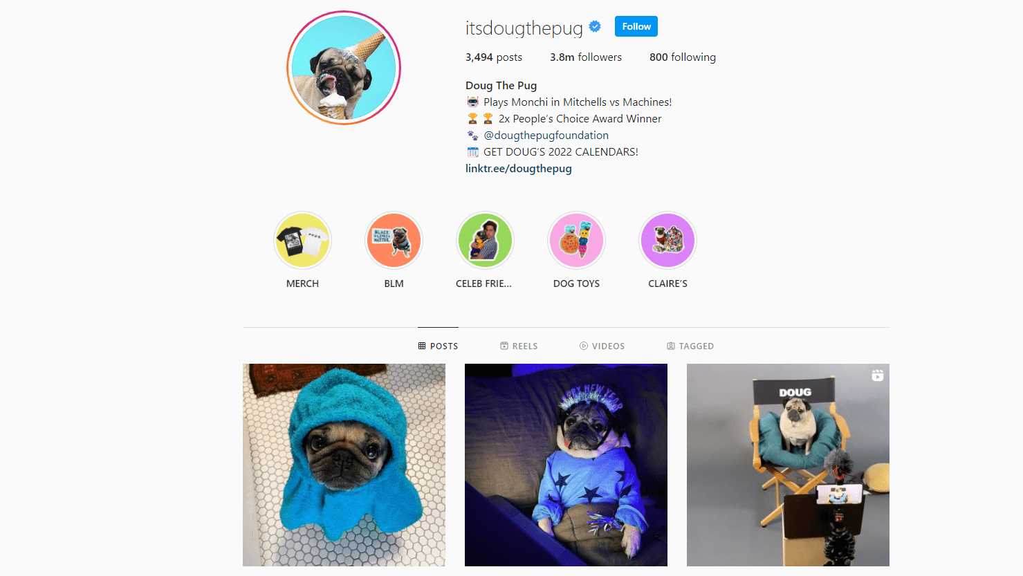 its-dough-the-pug-personal-brand 