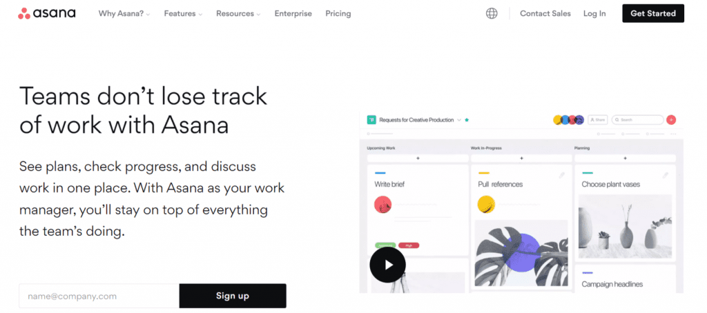 Asana Project Management Software 