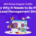 lead-management-strategy-6531017f8bd3f